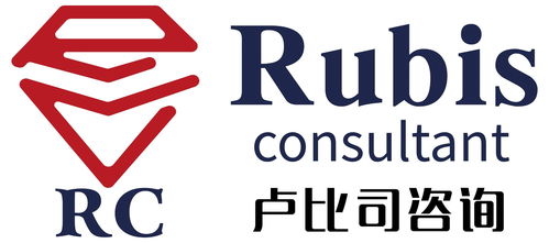 上海卢比司企业管理咨询 专业赋能企业成长，解锁管理新高度